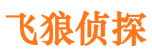 昌江县市侦探调查公司